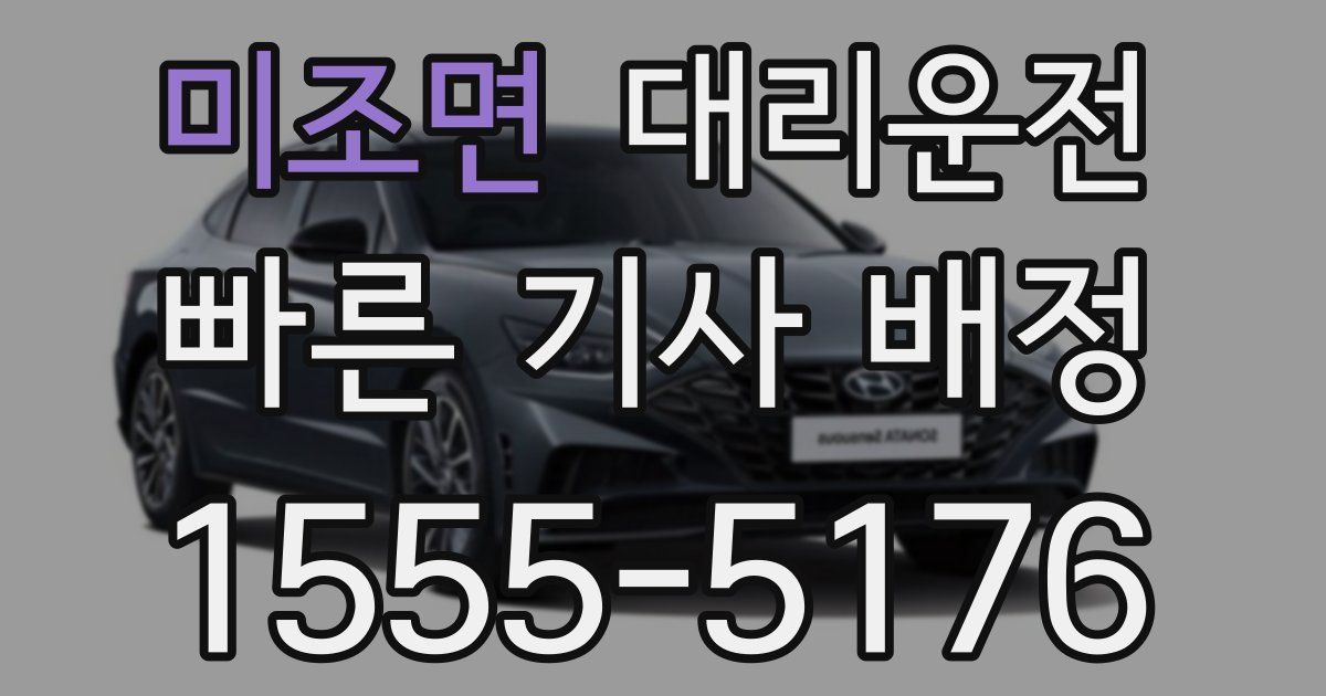일일대리기사