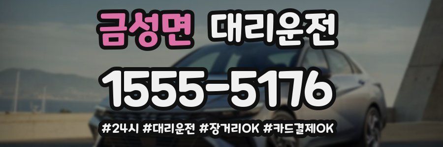 금성면 대리운전