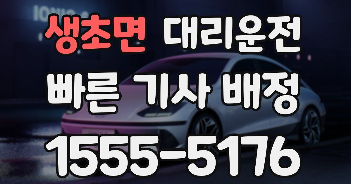일일대리기사