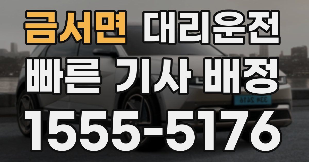 일일대리기사