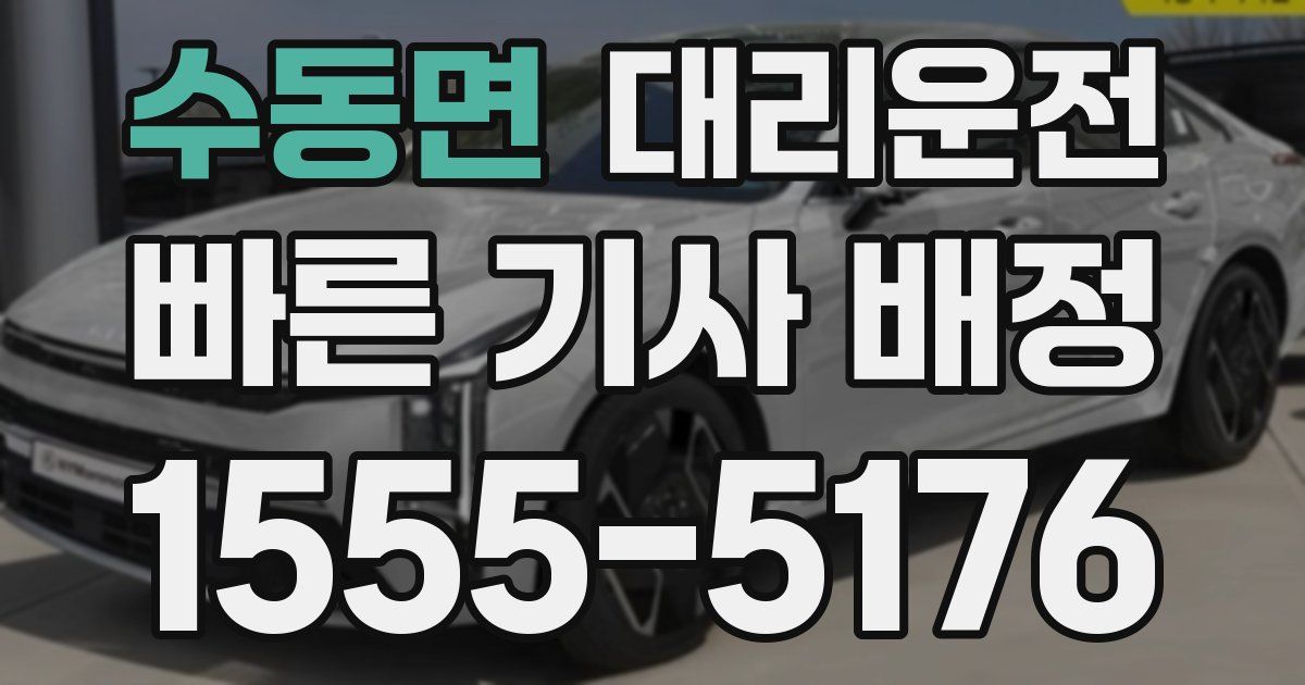 일일대리기사