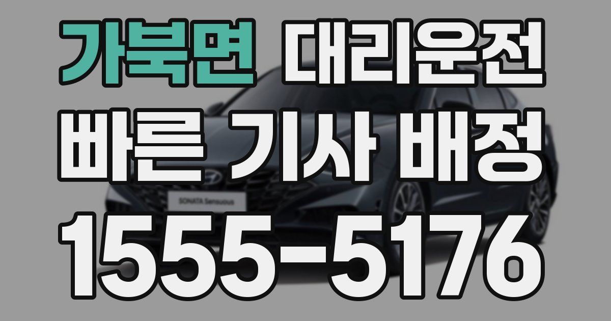 일일대리기사