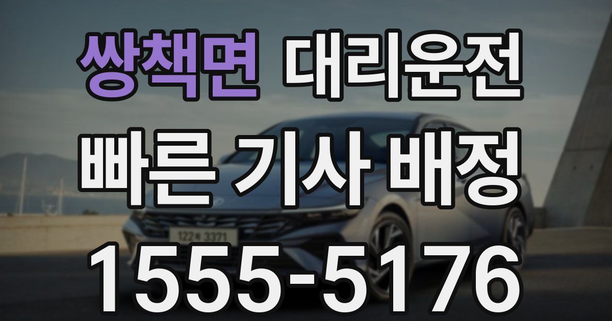 일일대리기사