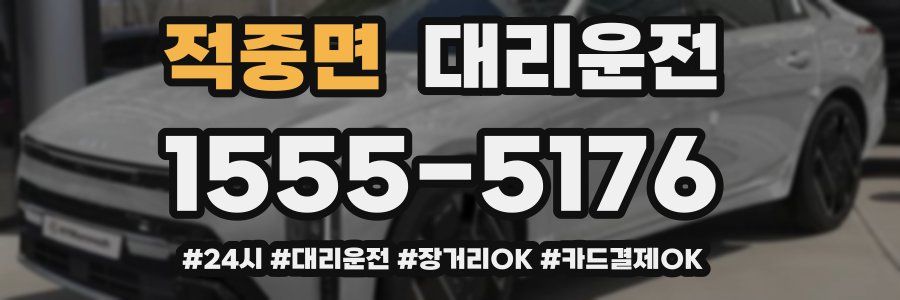 적중면 대리운전