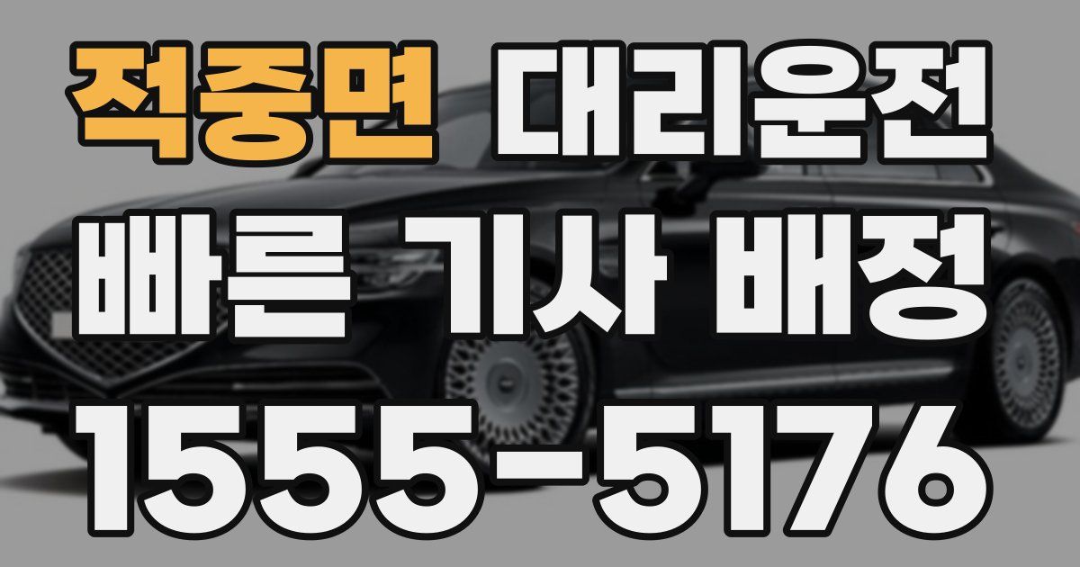 일일대리기사