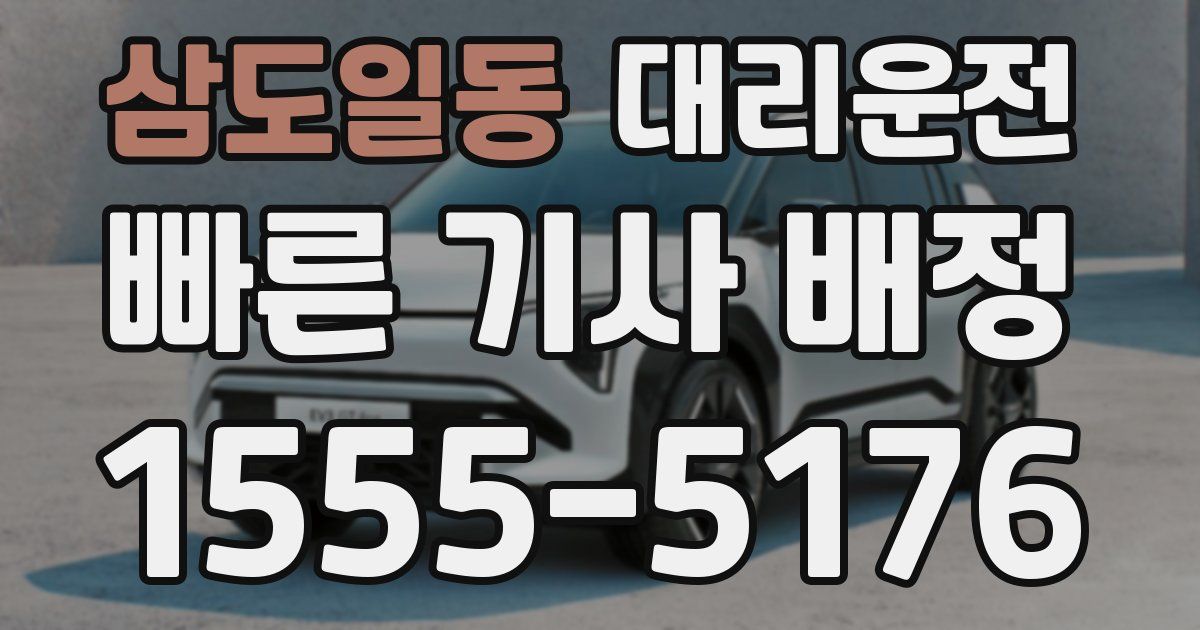 일일대리기사
