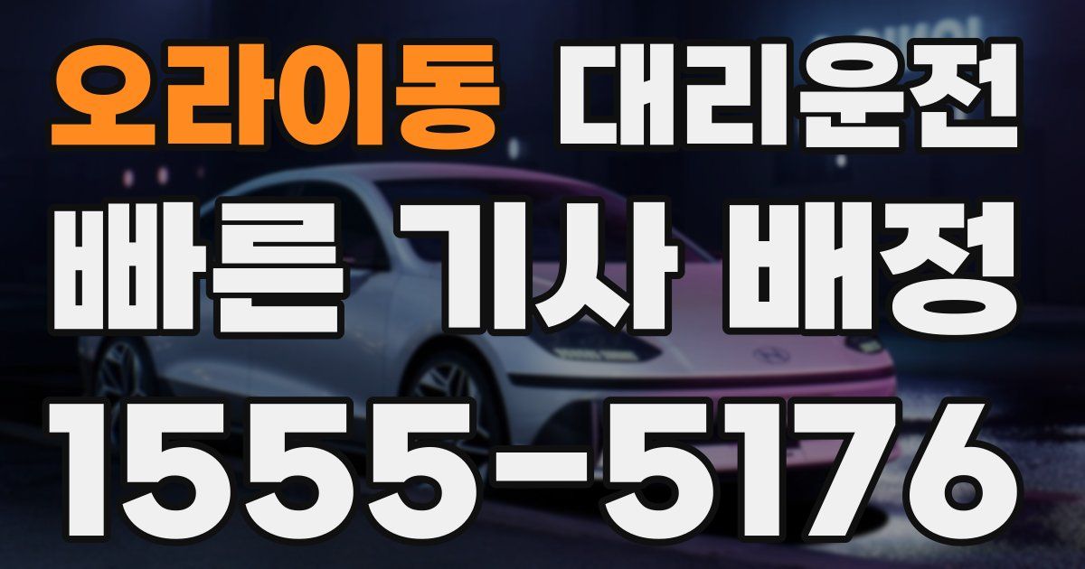 일일대리기사