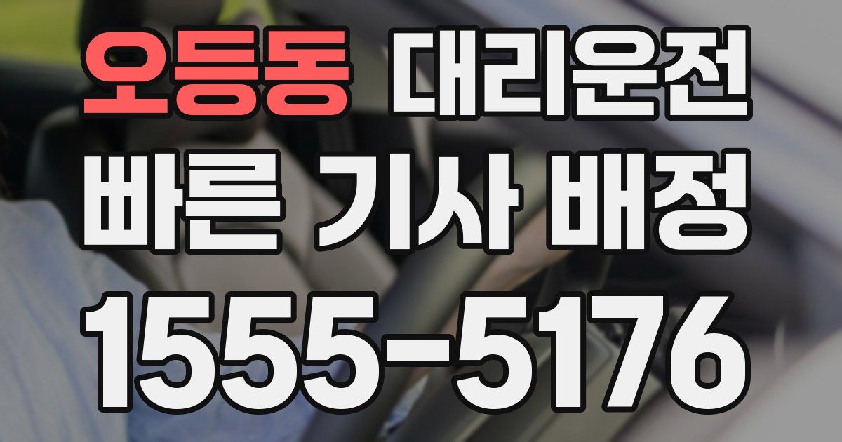 일일대리기사