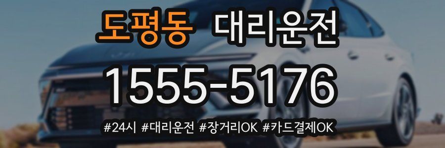 도평동 대리운전