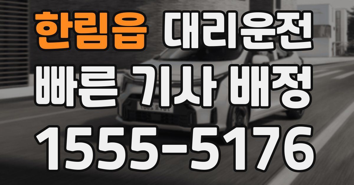 일일대리기사