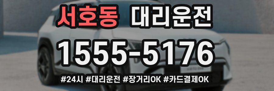 서호동 대리운전