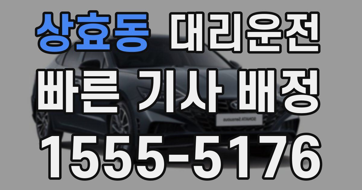 일일대리기사