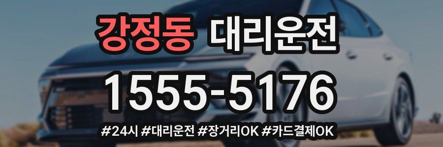 강정동 대리운전