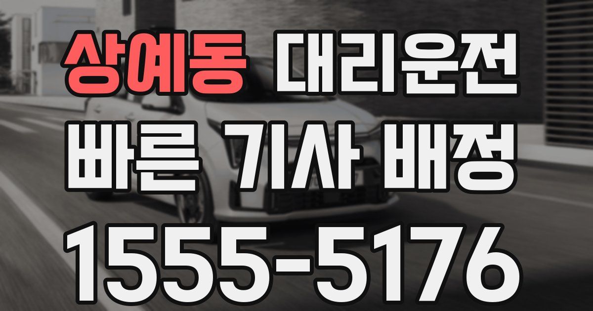 일일대리기사