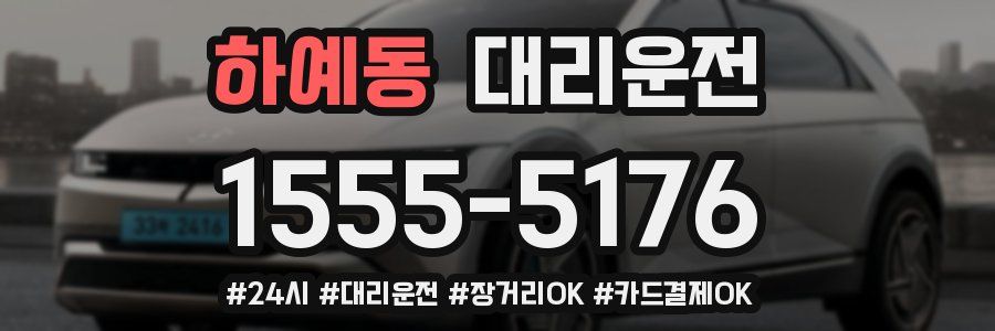 하예동 대리운전