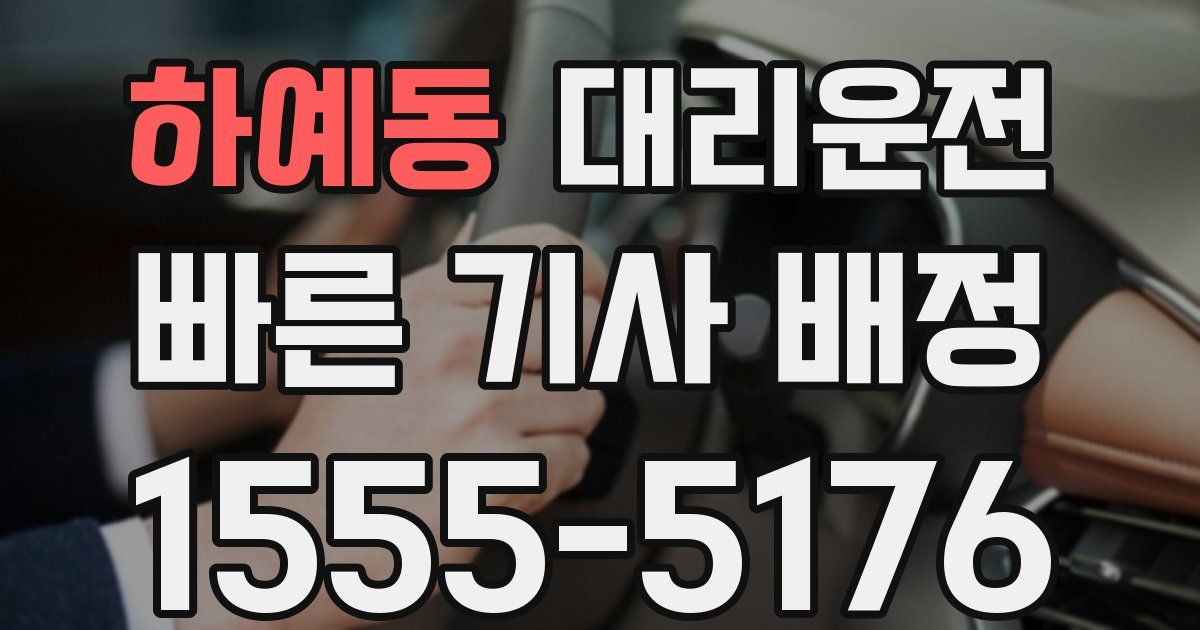일일대리기사