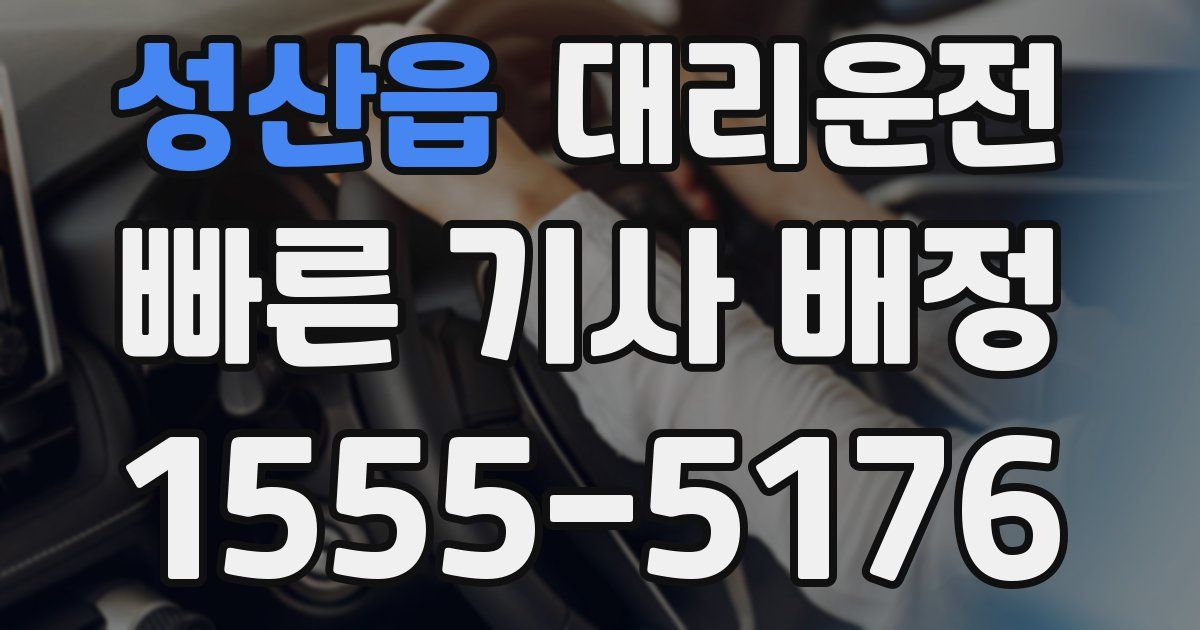 일일대리기사