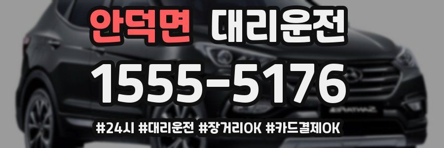안덕면 대리운전