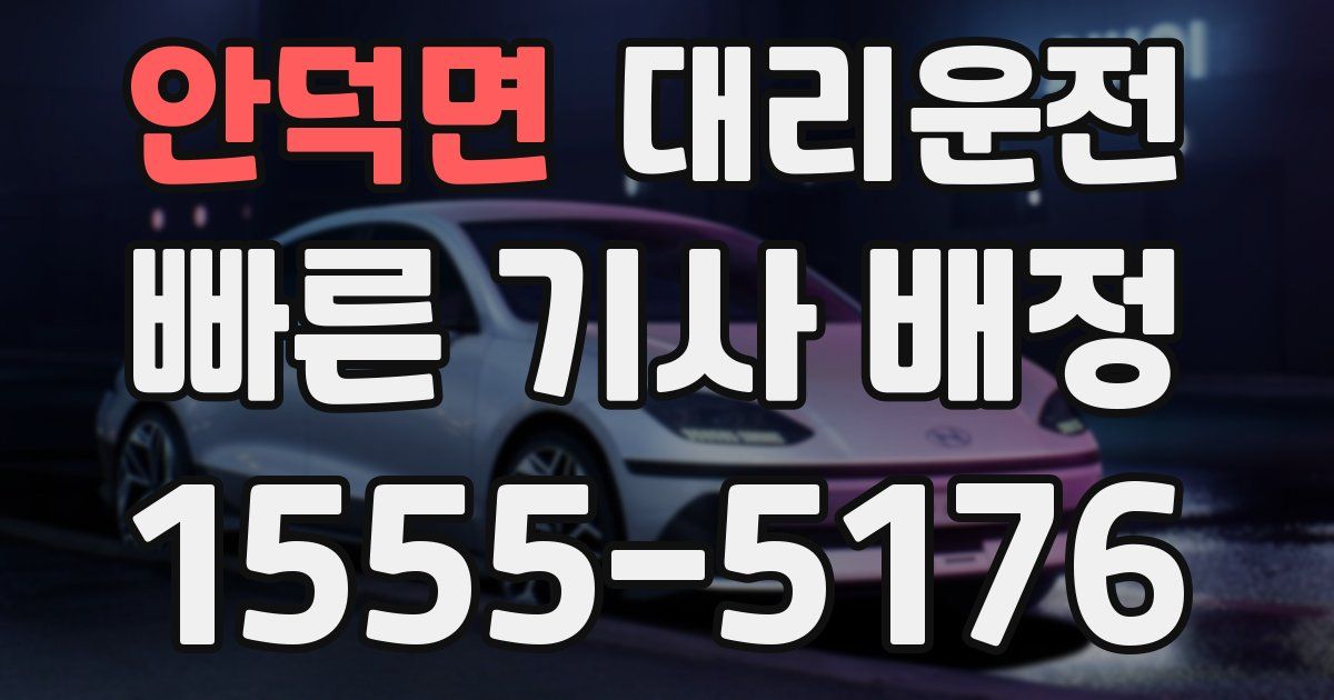 일일대리기사