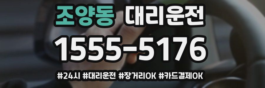 조양동 대리운전
