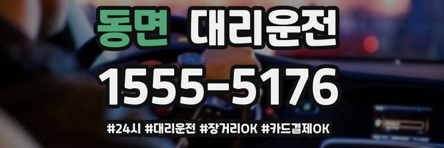 동면 대리운전