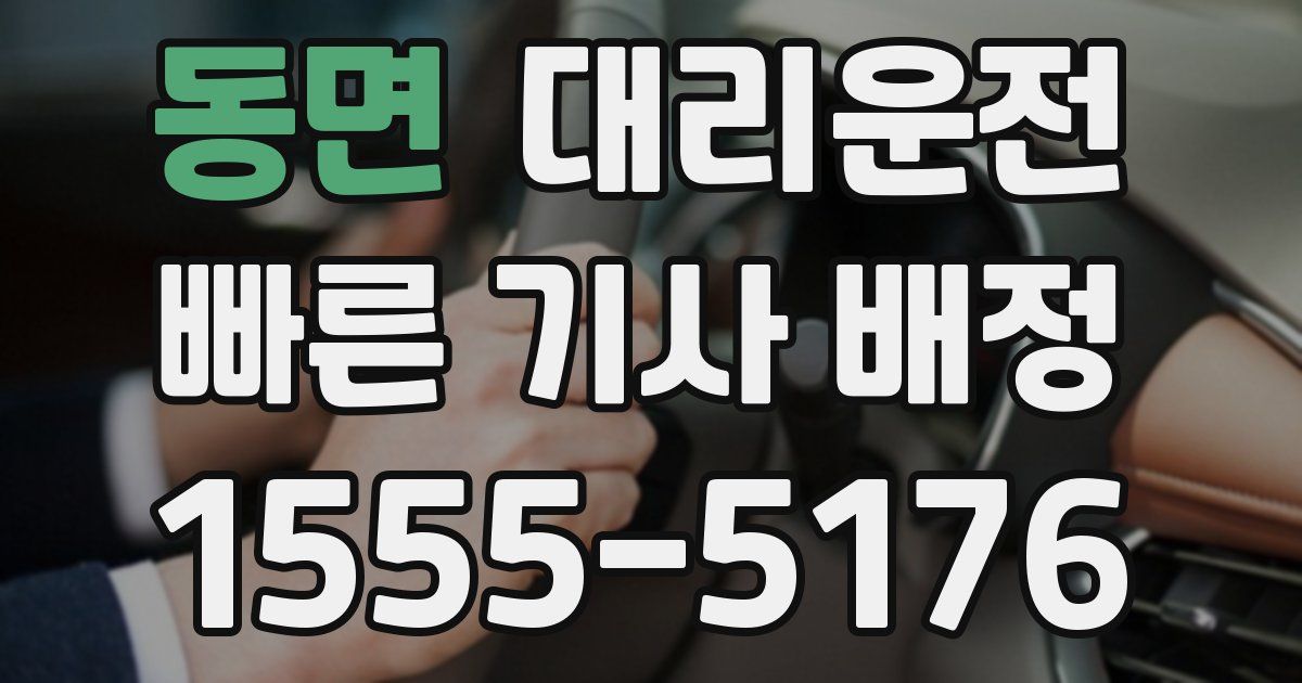 일일대리기사