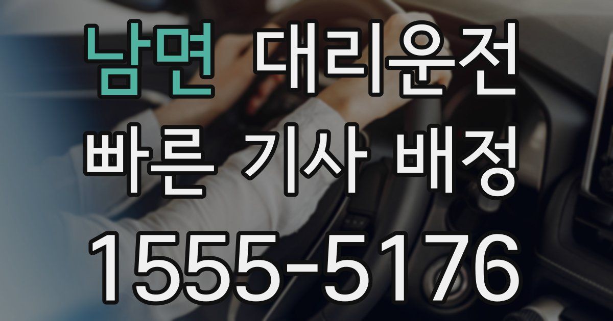 일일대리기사