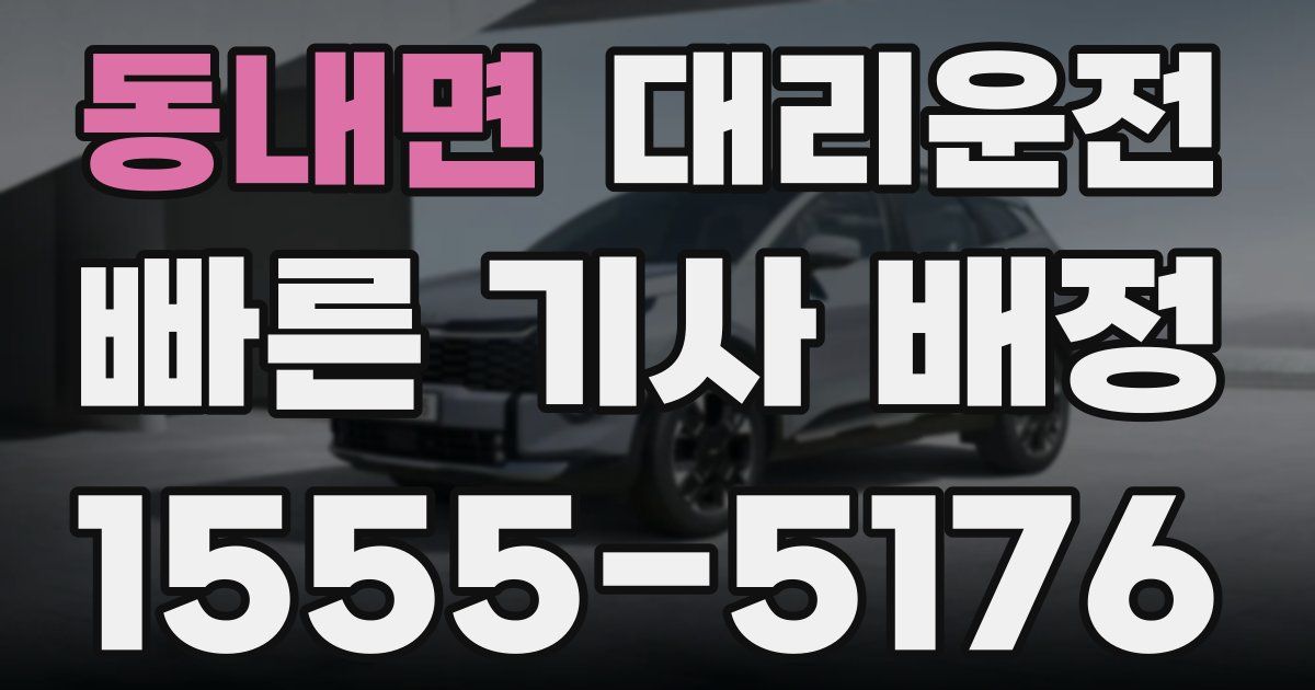 일일대리기사