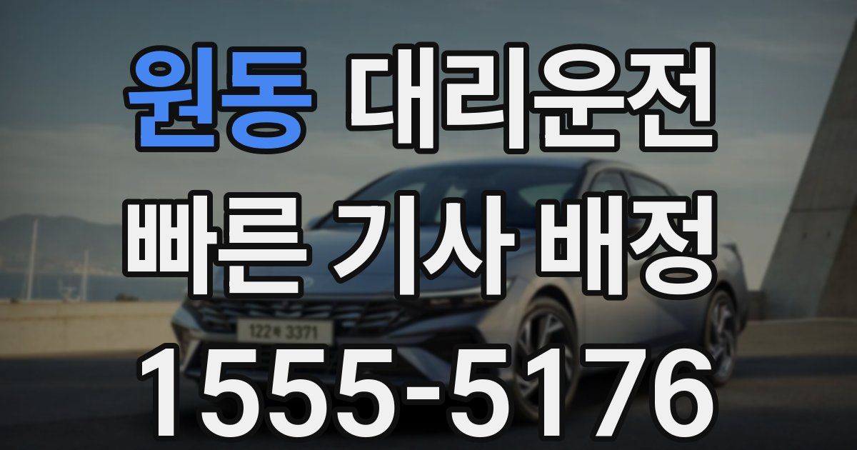 일일대리기사