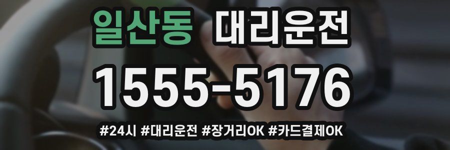 일산동 대리운전
