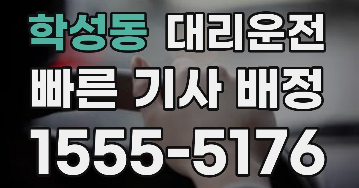 일일대리기사
