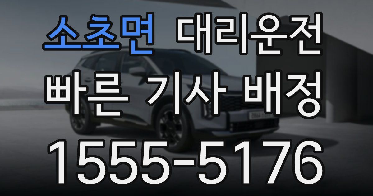 일일대리기사