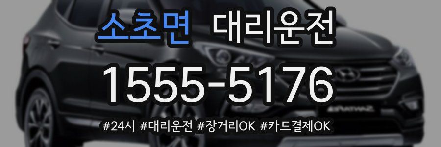 소초면 대리운전