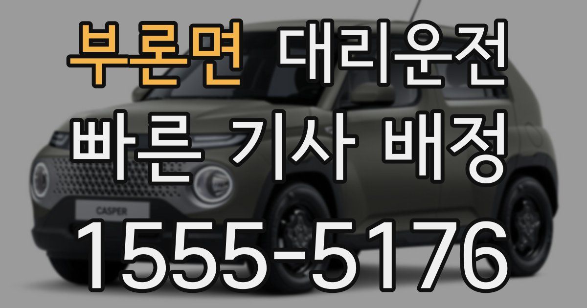일일대리기사
