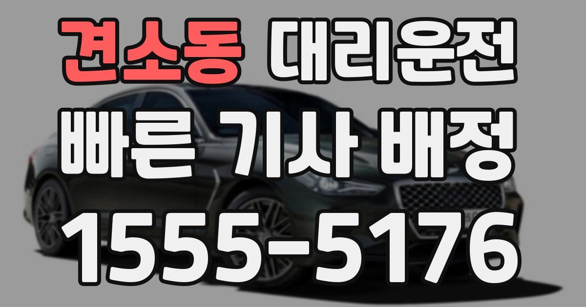 일일대리기사