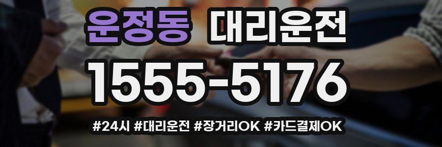 운정동 대리운전
