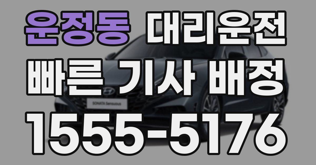 일일대리기사
