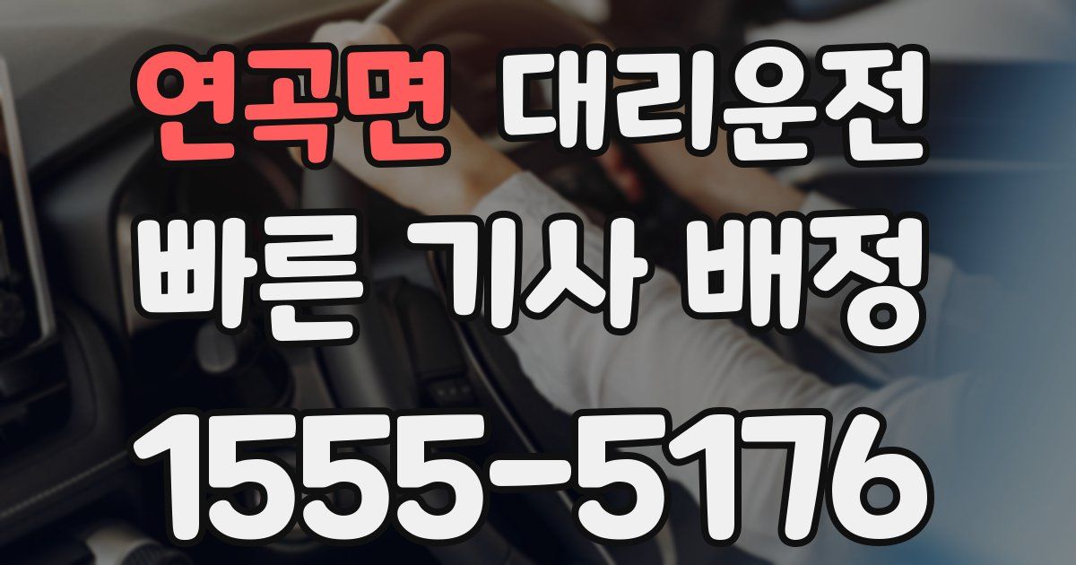 일일대리기사