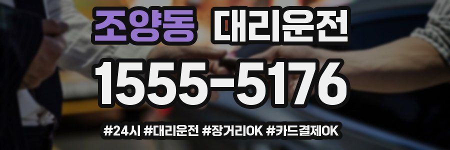 조양동 대리운전