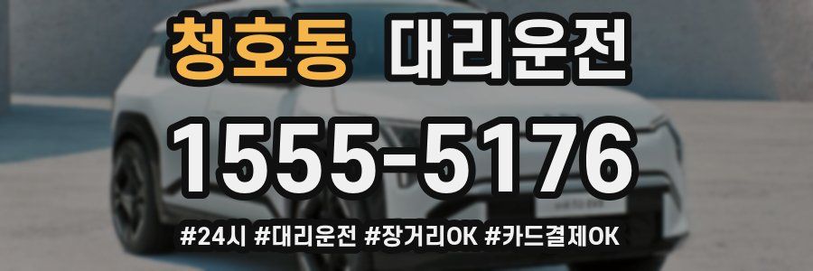 청호동 대리운전