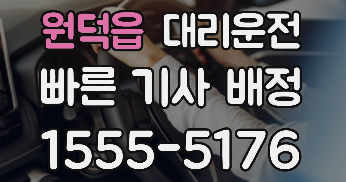 일일대리기사