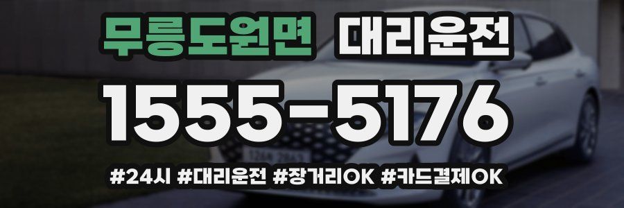 무릉도원면 대리운전