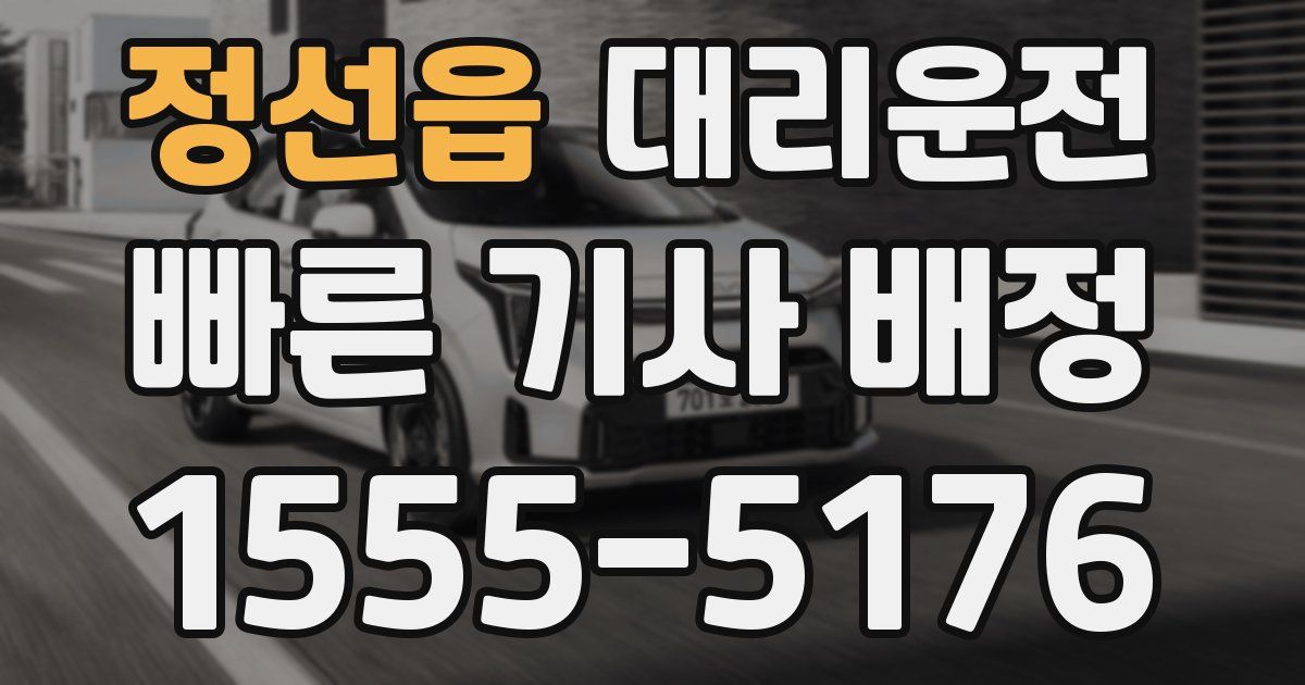일일대리기사