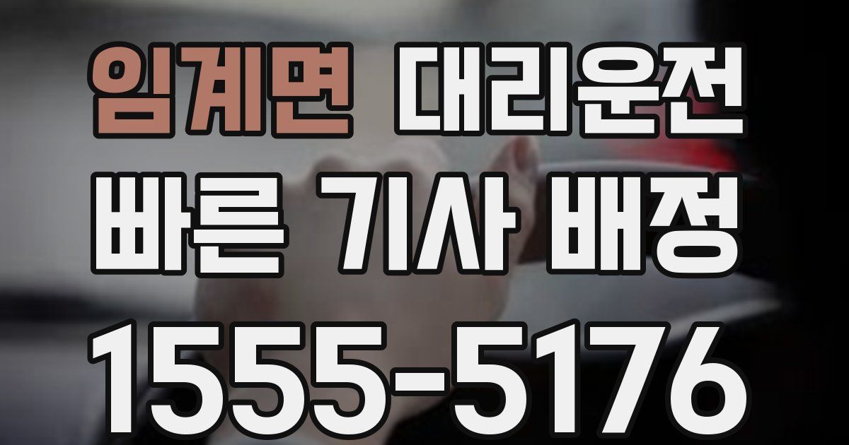 일일대리기사