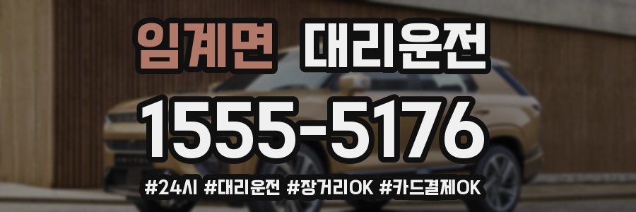 임계면 대리운전