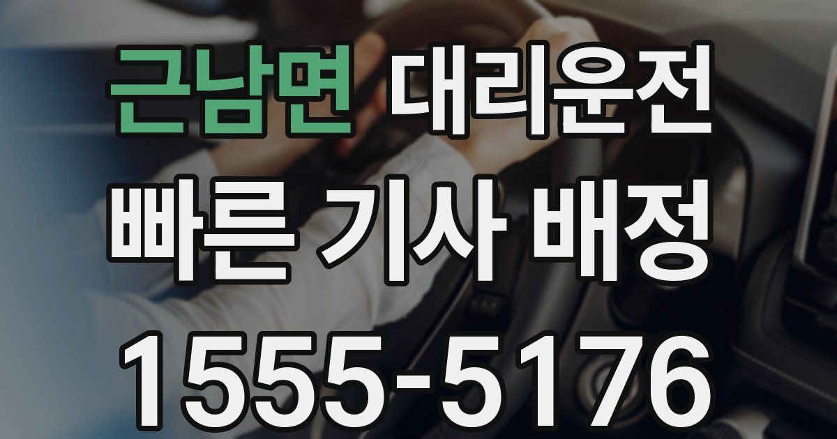 일일대리기사
