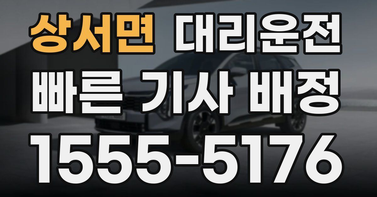 일일대리기사