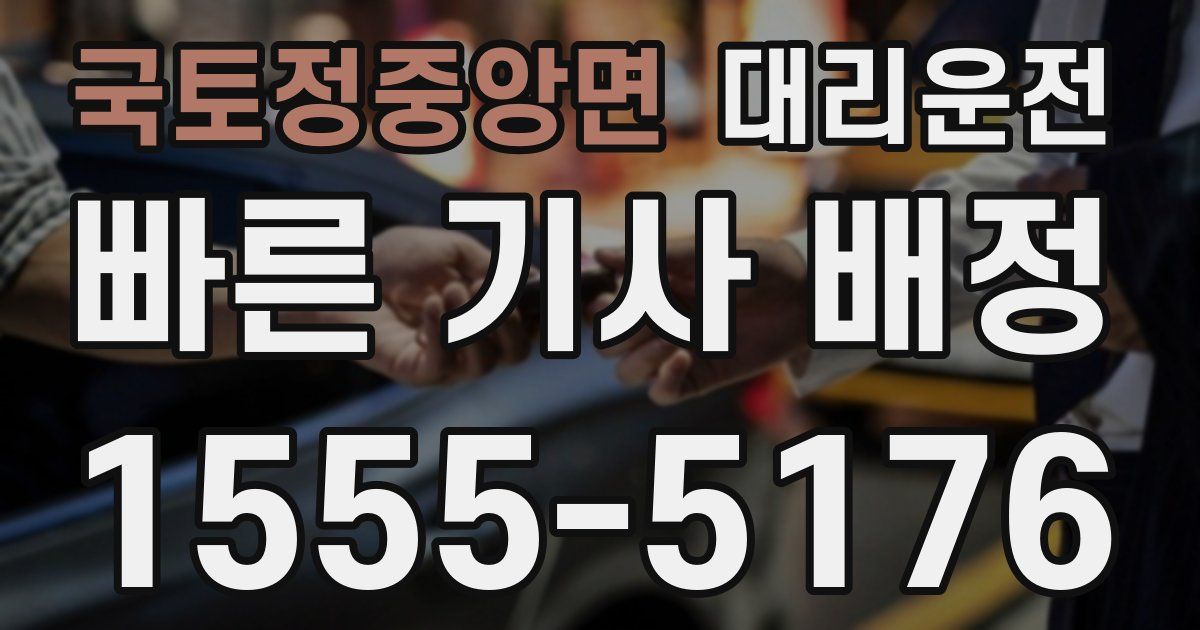 일일대리기사