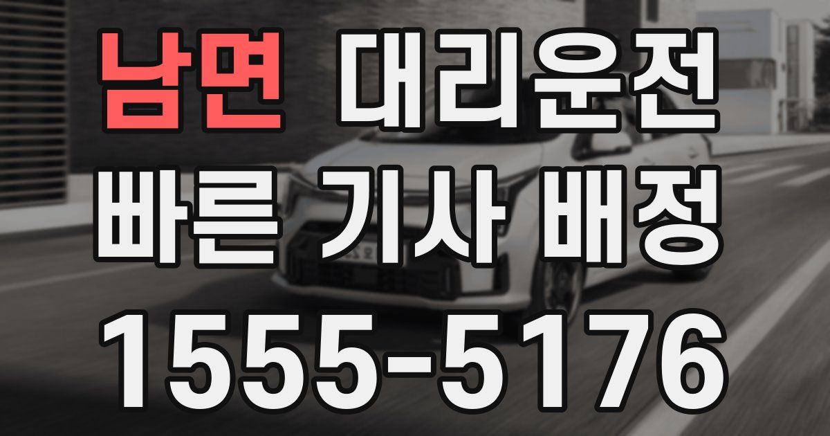 일일대리기사