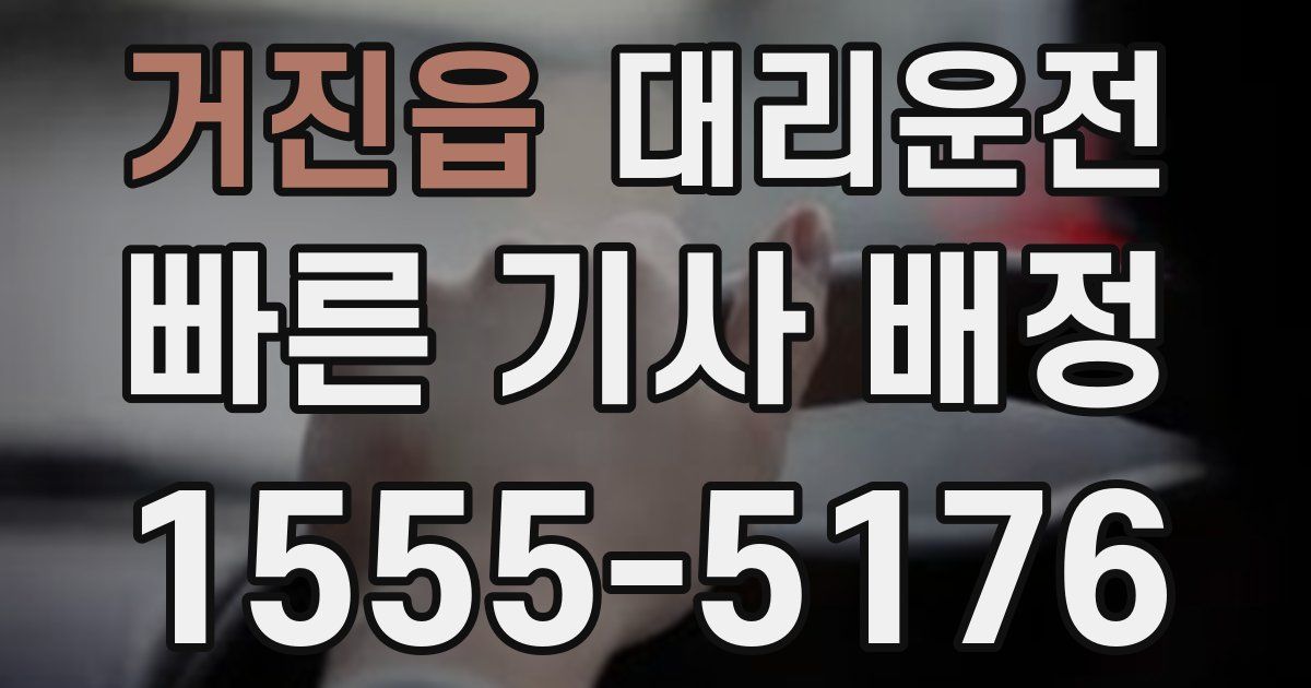일일대리기사